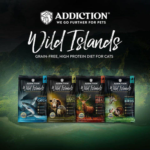 Pacific Catch Premium King Salmon Mackerel & Hoki Dry Cat Food - Trial Pack Bundle of 12