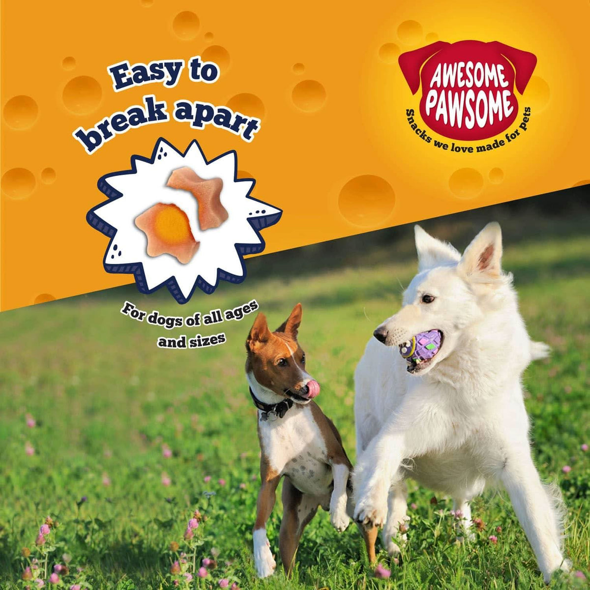 Awesome Pawsome Baconmania - Addiction Pet Foods USA