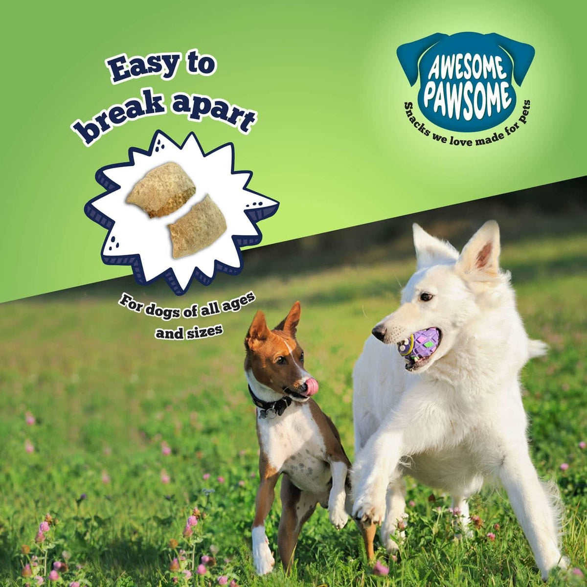 Awesome Pawsome Chicken Dumpling - Addiction Pet Foods USA
