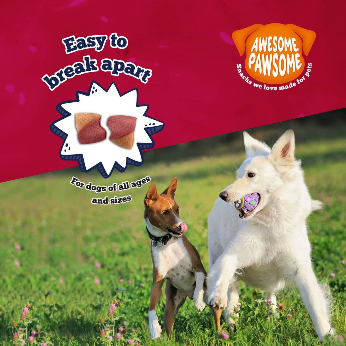 Awesome Pawsome Peanut Butter & Cranberry - Addiction Pet Foods USA