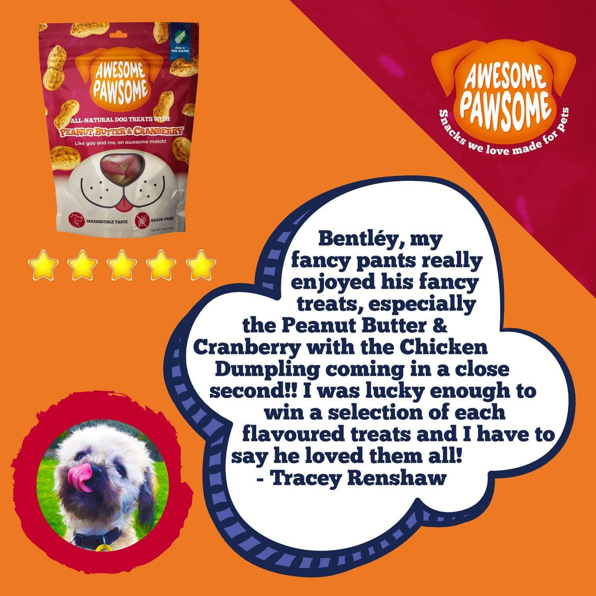 Awesome Pawsome Peanut Butter & Cranberry - Addiction Pet Foods USA