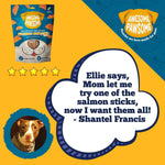 Awesome Pawsome Salmon Supreme Recipe - Addiction Pet Foods USA