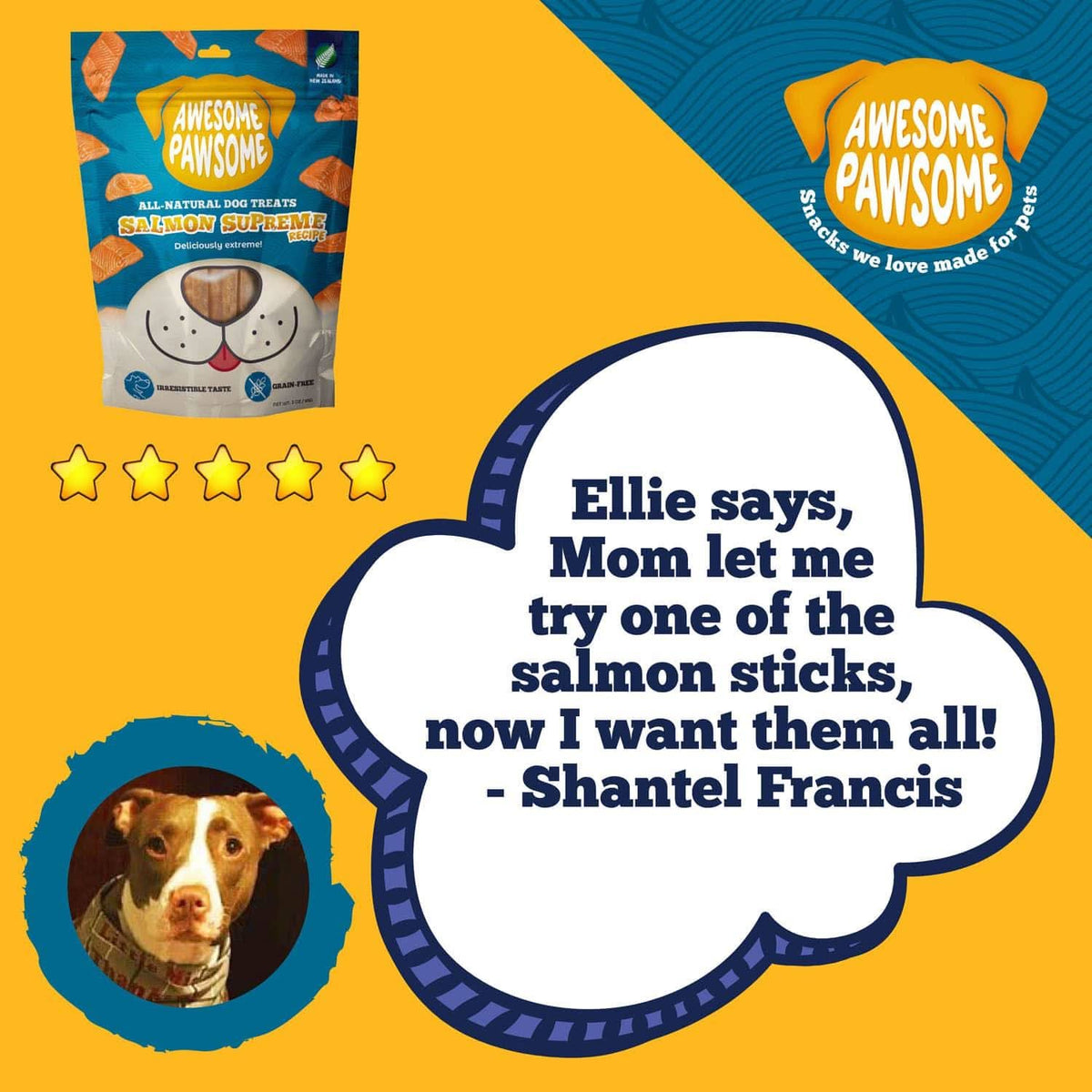 Awesome Pawsome Salmon Supreme Recipe - Addiction Pet Foods USA