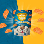 Awesome Pawsome Salmon Supreme Recipe - Addiction Pet Foods USA
