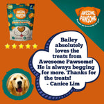Awesome Pawsome Super Pumpkin Recipe - Addiction Pet Foods USA
