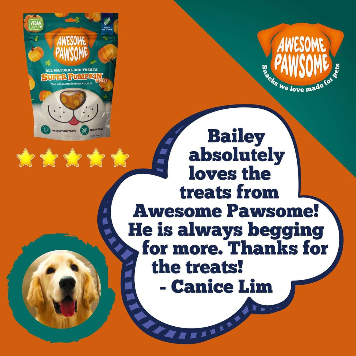 Awesome Pawsome Super Pumpkin Recipe - Addiction Pet Foods USA