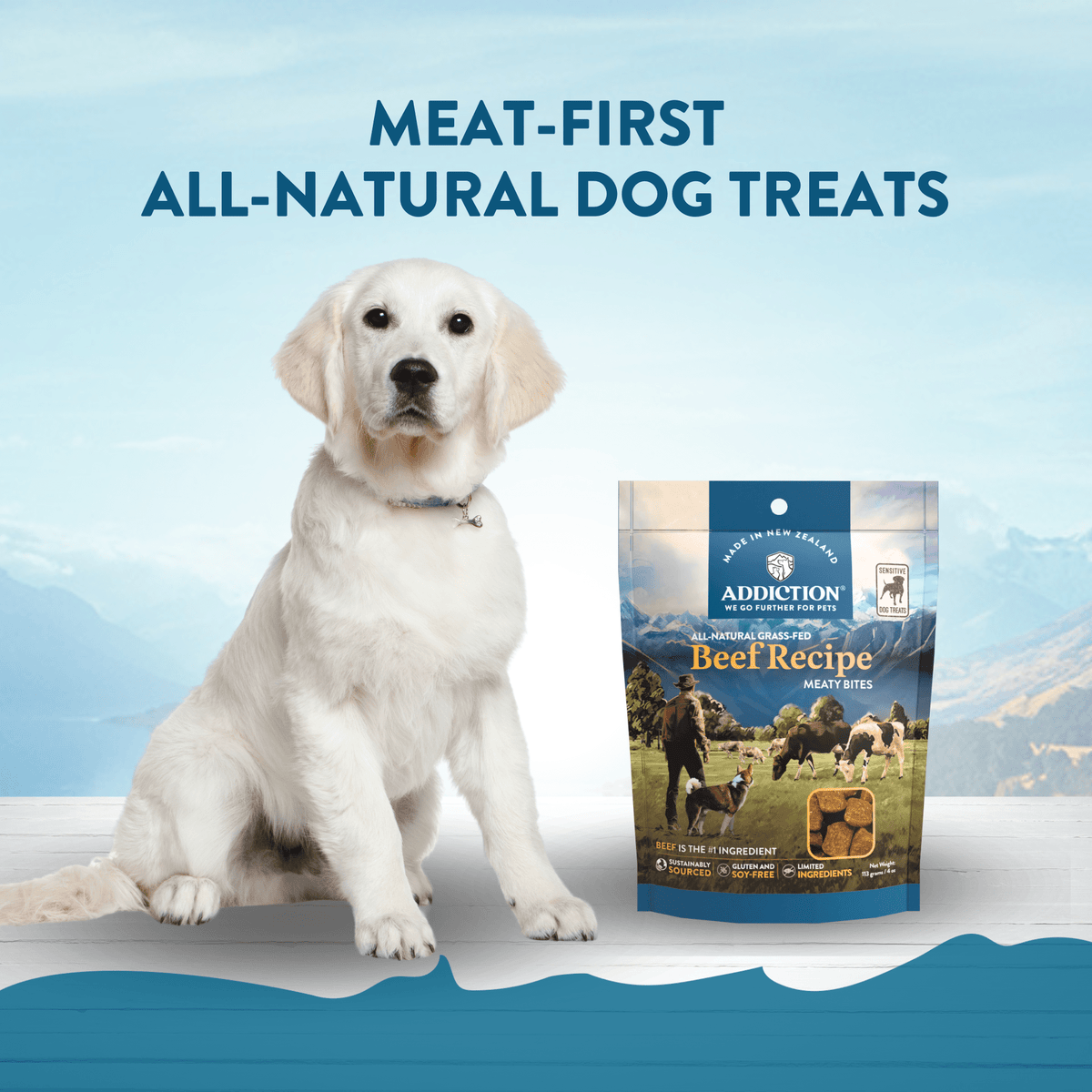 Beef Meaty Bites - Hypoallergenic Dog Treats - Addiction Pet Foods USA