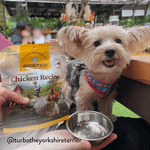 Chicken Meaty Bites - Hypoallergenic Dog Treats - Addiction Pet Foods USA