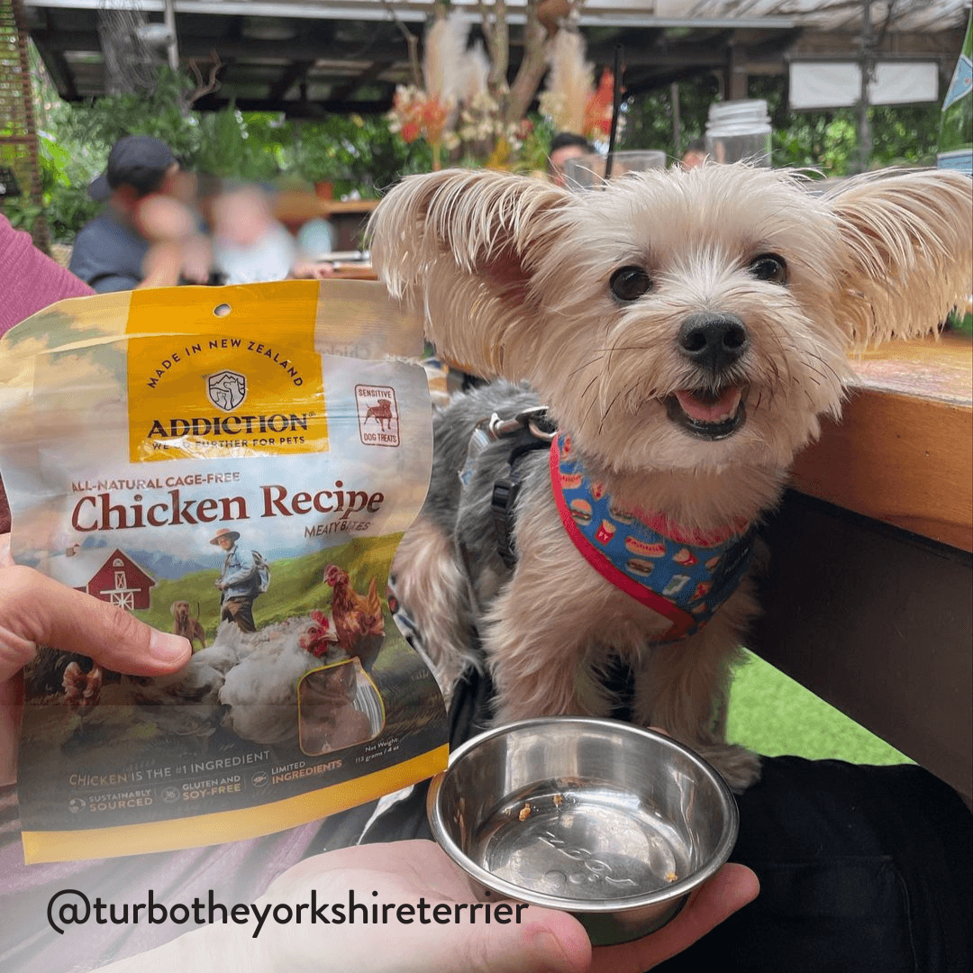 Chicken Meaty Bites - Hypoallergenic Dog Treats - Addiction Pet Foods USA