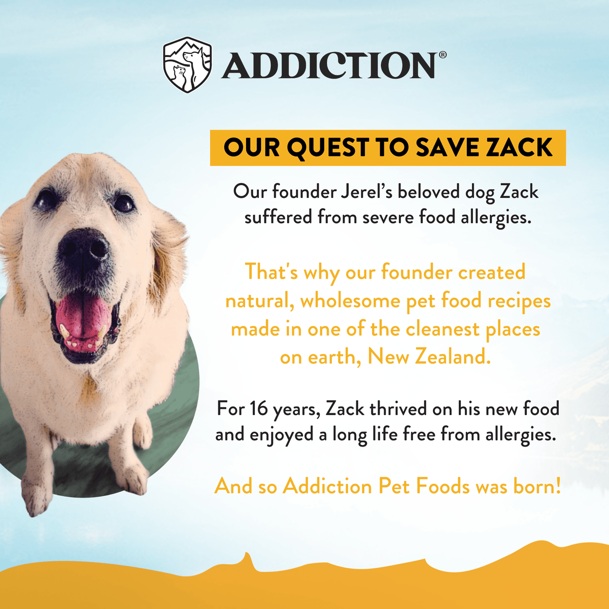 Chicken Meaty Bites - Hypoallergenic Dog Treats - Addiction Pet Foods USA