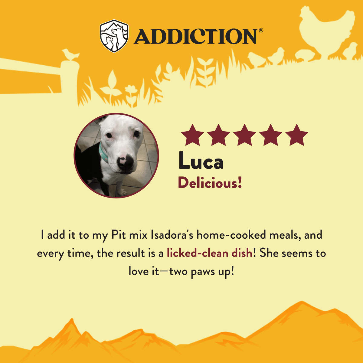 Country Chicken & Apricot Air-Dried Dog Food - Addiction Pet Foods USA