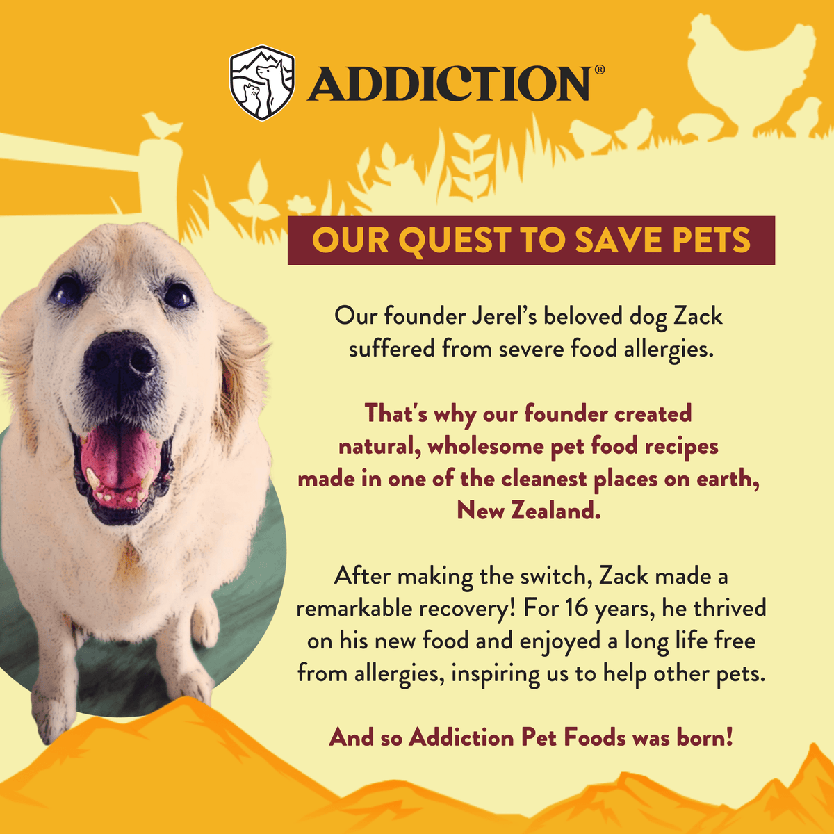 Country Chicken & Apricot Air-Dried Dog Food - Addiction Pet Foods USA