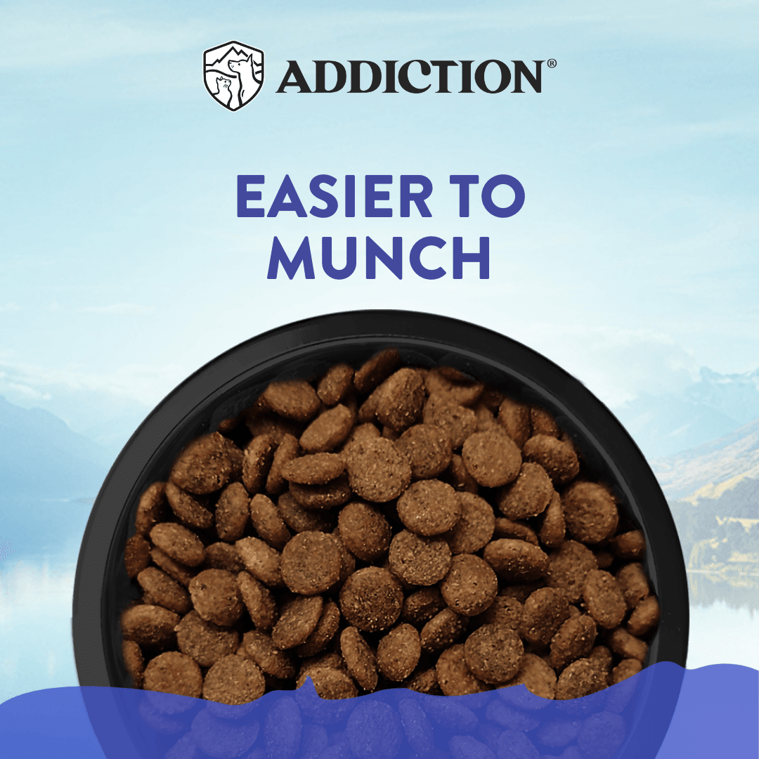 Duck Royale Entrée Grain-free Premium Duck Small Breed Dry Dog Food - Addiction Pet Foods USA