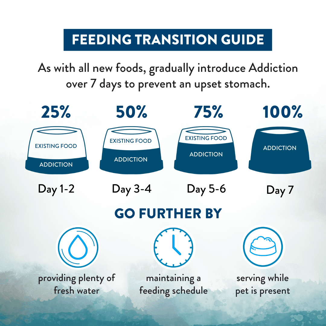 Pacific Catch Premium King Salmon Mackerel & Hoki Dry Dog Food - Trial Pack Bundle of 12 - Addiction Pet Foods USA