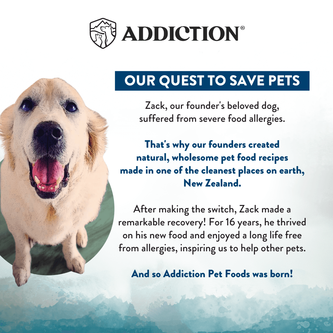Pacific Catch Premium King Salmon Mackerel & Hoki Dry Dog Food - Trial Pack Bundle of 12 - Addiction Pet Foods USA