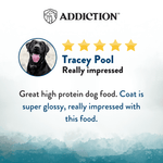 Pacific Catch Premium King Salmon Mackerel & Hoki Dry Dog Food - Trial Pack Bundle of 12 - Addiction Pet Foods USA