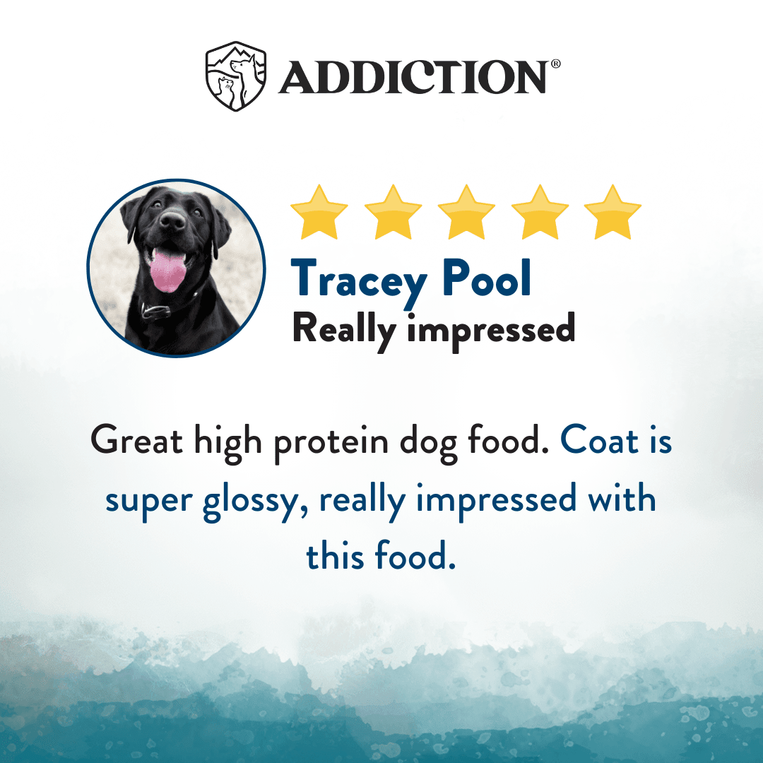 Pacific Catch Premium King Salmon Mackerel & Hoki Dry Dog Food - Trial Pack Bundle of 12 - Addiction Pet Foods USA
