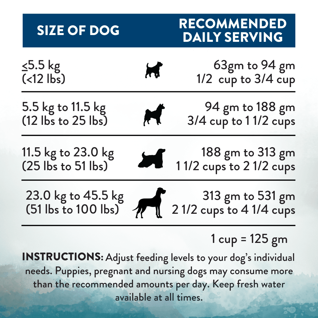 Pacific Catch Premium King Salmon Mackerel & Hoki Dry Dog Food - Trial Pack Bundle of 12 - Addiction Pet Foods USA