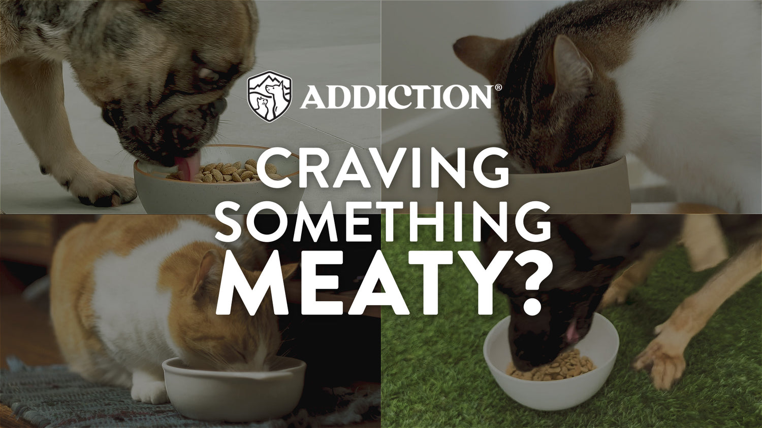 Addiction Wild Islands Forest Meat Premium Venison Recipe Dry Cat Food