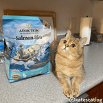 Salmon Bleu Dry Cat Food - Trial Pack Bundle of 12 - Addiction Pet Foods USA