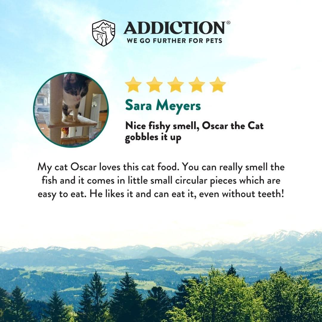 Salmon Bleu Dry Cat Food - Trial Pack Bundle of 12 - Addiction Pet Foods USA