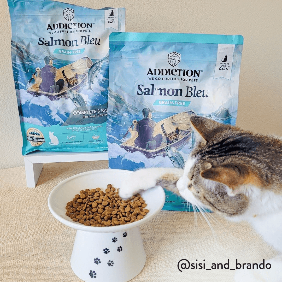 Salmon Bleu Dry Cat Food - Trial Pack Bundle of 12 - Addiction Pet Foods USA