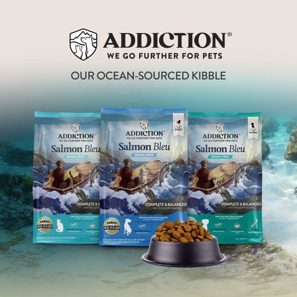Salmon Bleu Dry Cat Food - Trial Pack Bundle of 12 - Addiction Pet Foods USA