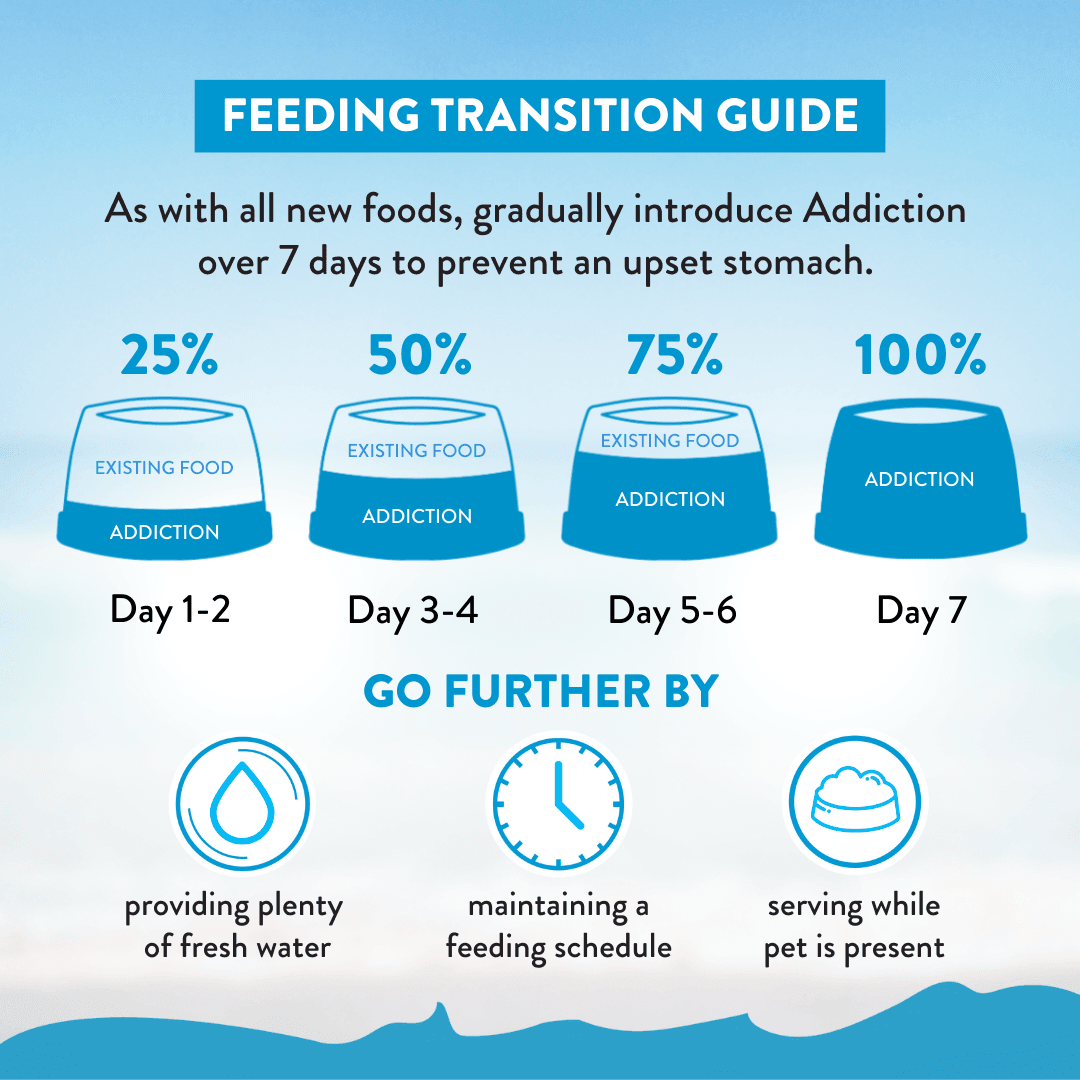 Salmon Bleu Dry Dog Food - Trial Pack Bundle of 12 - Addiction Pet Foods USA