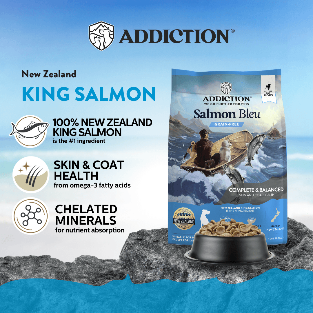 Salmon Bleu Dry Dog Food - Trial Pack Bundle of 12 - Addiction Pet Foods USA