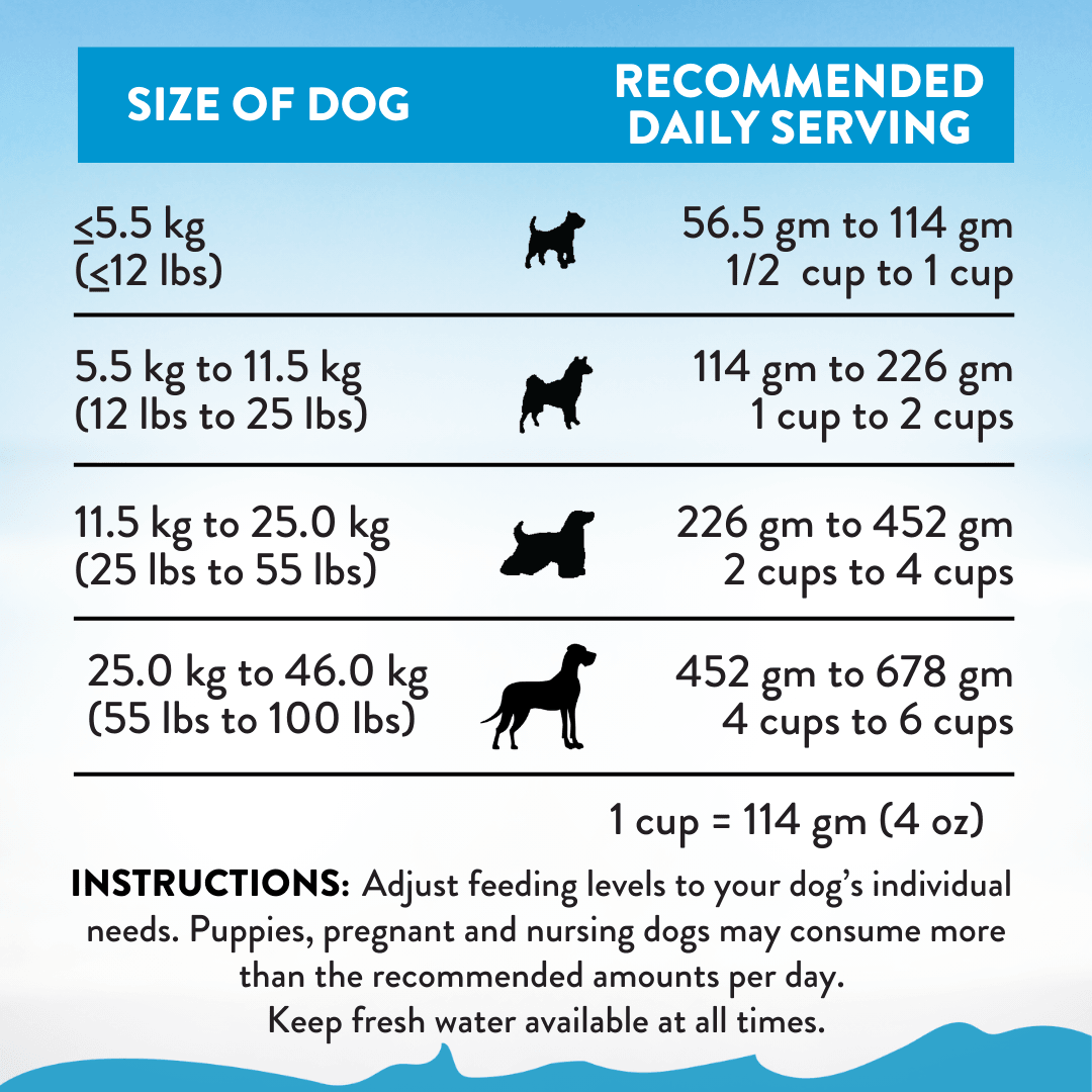 Salmon Bleu Dry Dog Food - Trial Pack Bundle of 12 - Addiction Pet Foods USA