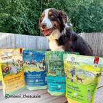 Steakhouse Beef & Zucchini Air-Dried Dog Food - Addiction Pet Foods USA