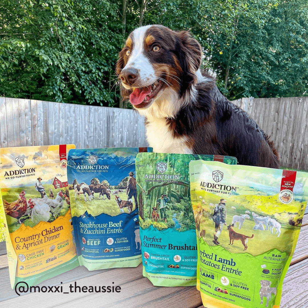 Steakhouse Beef & Zucchini Air-Dried Dog Food - Addiction Pet Foods USA