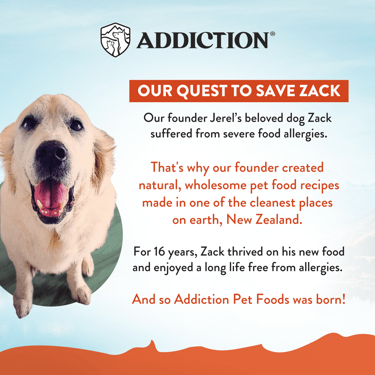 Venison Meaty Bites - Hypoallergenic Dog Treats - Addiction Pet Foods USA