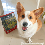 Viva La Venison Dry Dog Food - Trial Pack Bundle of 12 - Addiction Pet Foods USA