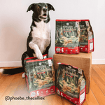 Viva La Venison Dry Dog Food - Trial Pack Bundle of 12 - Addiction Pet Foods USA
