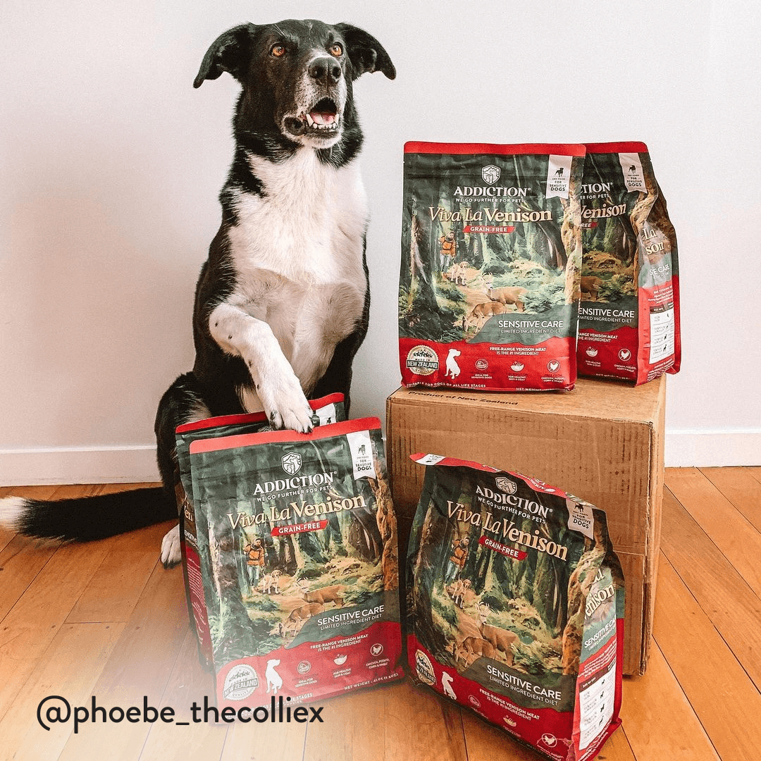 Viva La Venison Dry Dog Food - Trial Pack Bundle of 12 - Addiction Pet Foods USA