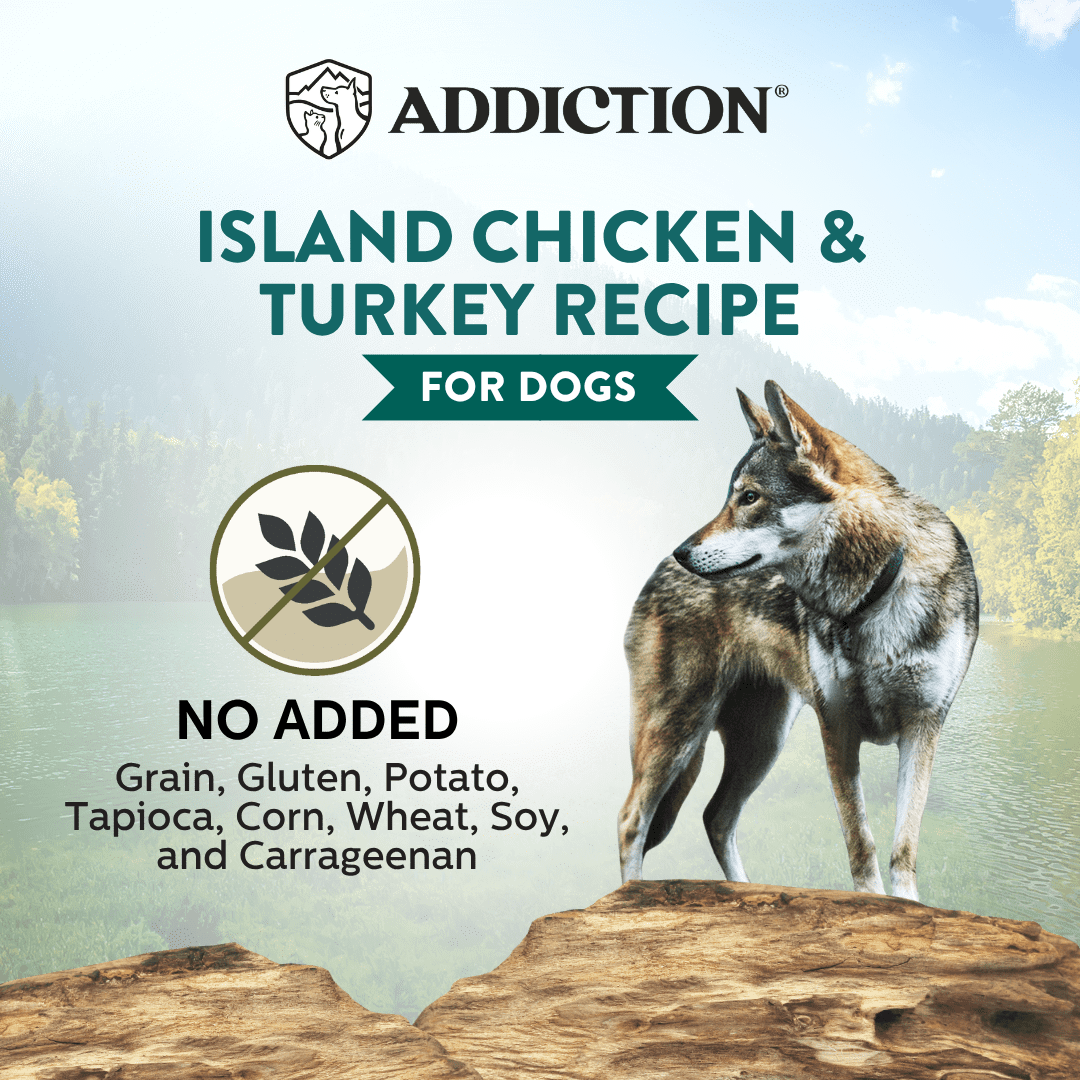 Wild Islands Canned Dog Food Mix Flavor Bundle 185g - Addiction Pet Foods USA