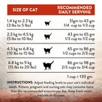 Wild Islands Forest Meat Premium Venison Recipe Dry Cat Food - Addiction Pet Foods USA