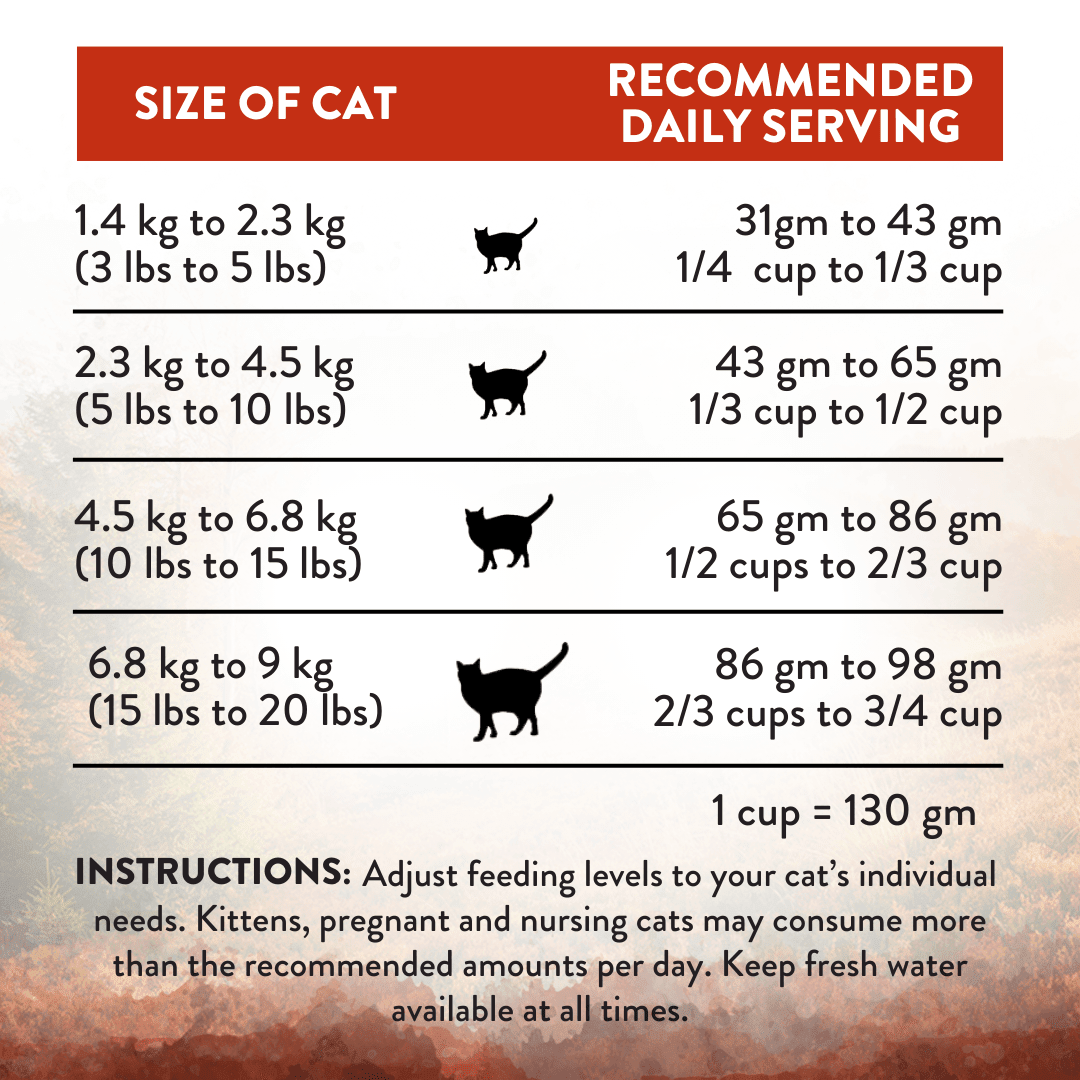 Wild Islands Forest Meat Premium Venison Recipe Dry Cat Food - Addiction Pet Foods USA