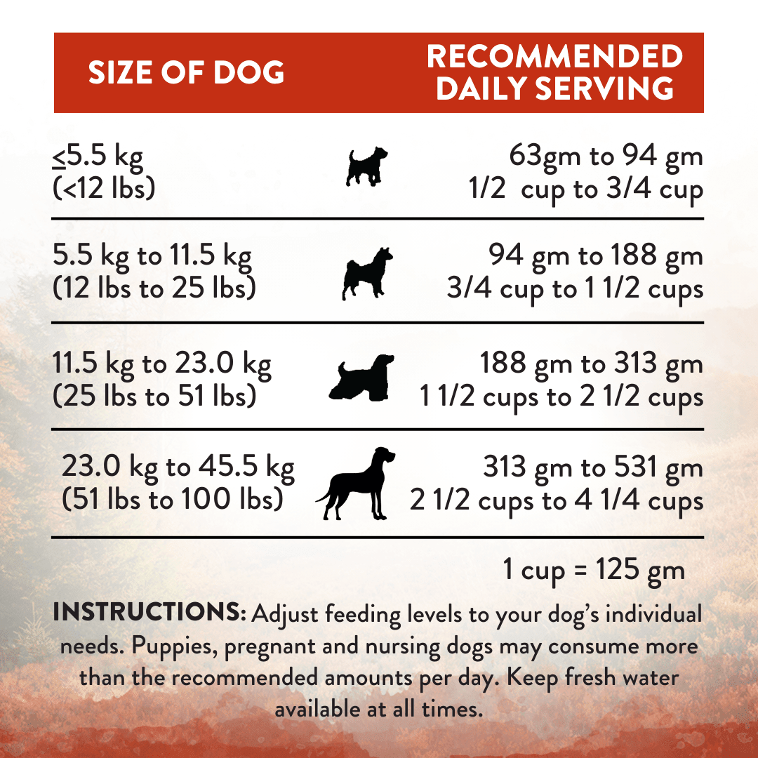 Wild Islands Forest Meat Premium Venison Recipe Dry Dog Food - Addiction Pet Foods USA