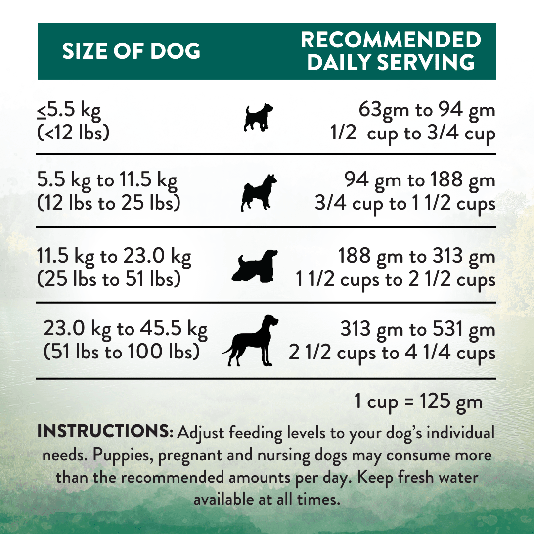 Wild Islands Island Bird Premium Duck Turkey & Chicken Dry Dog Food - Addiction Pet Foods USA