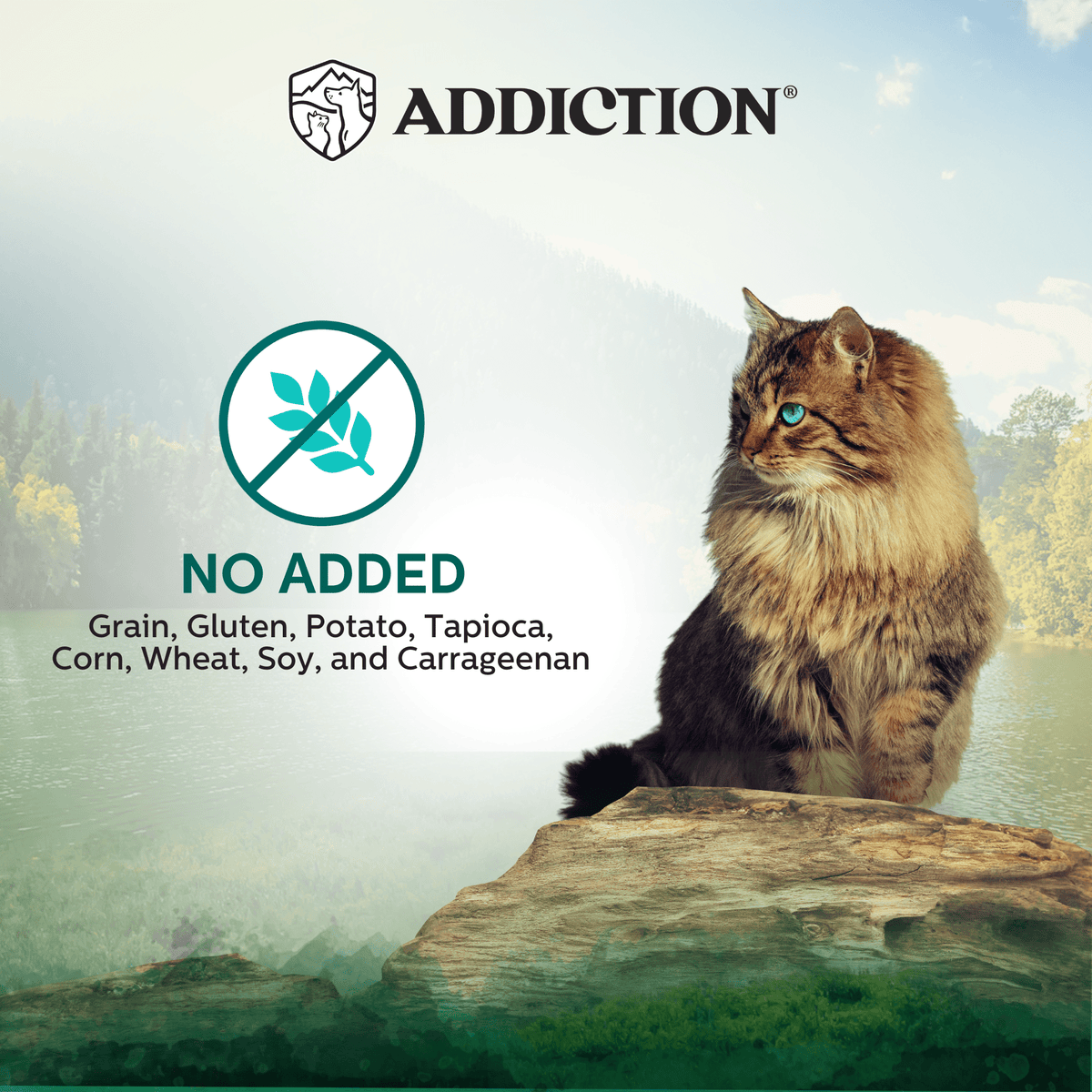 Wild Islands Island Birds Premium Chicken & Turkey Grain-Free Canned Cat Food - Addiction Pet Foods USA