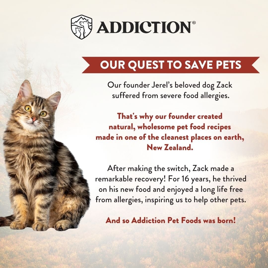 Wild Islands New Zealand Venison Recipe Premium Grain-free Canned Cat Food 85g - Addiction Pet Foods USA