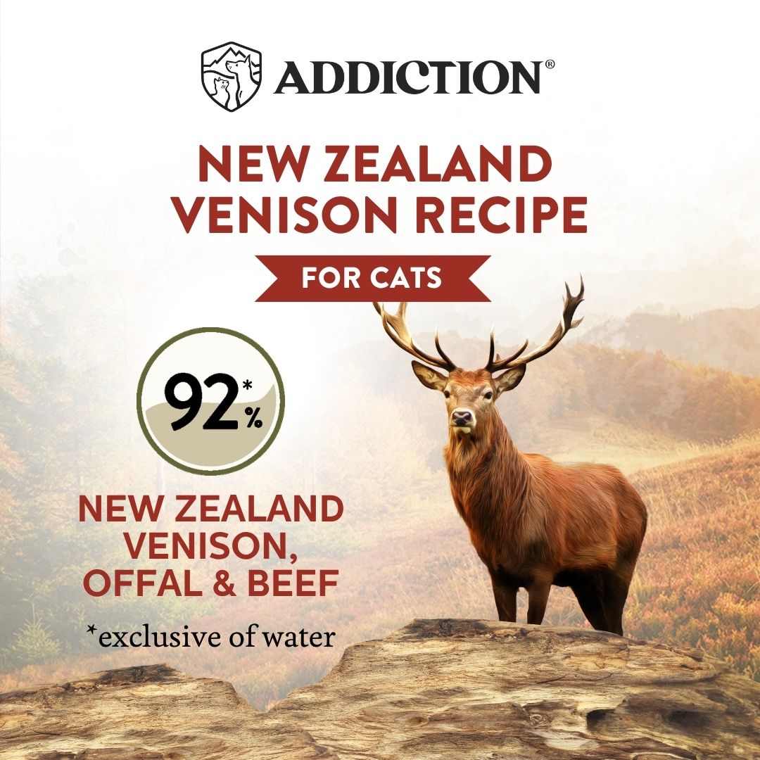 Wild Islands New Zealand Venison Recipe Premium Grain-free Canned Cat Food 85g - Addiction Pet Foods USA