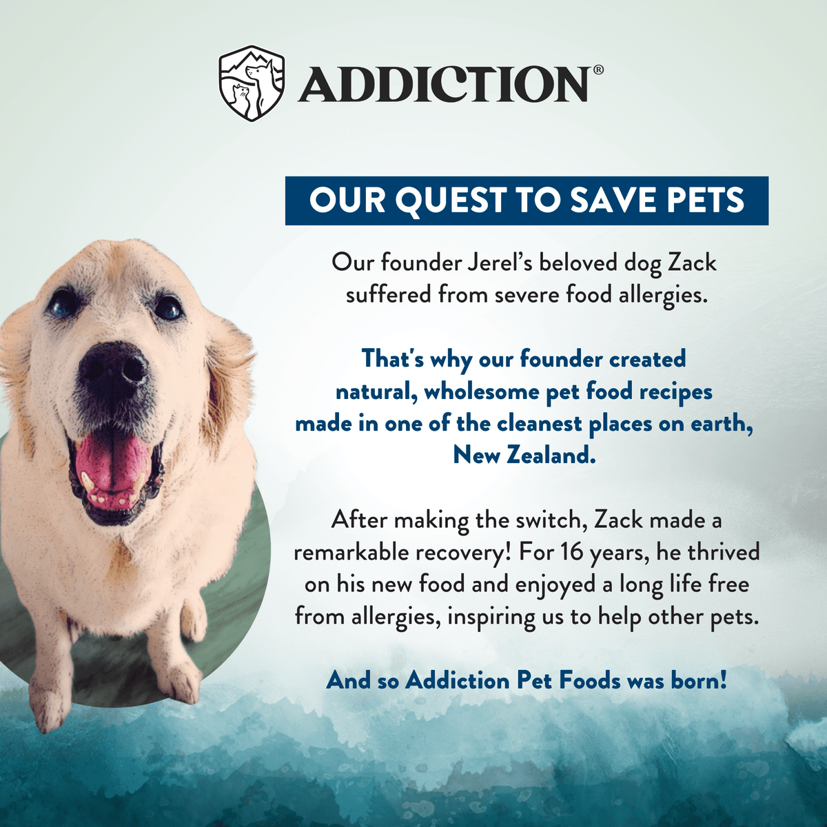 Wild Islands Pacific Catch Premium Ocean Fish & Salmon Grain-Free Canned Cat Food - Addiction Pet Foods USA