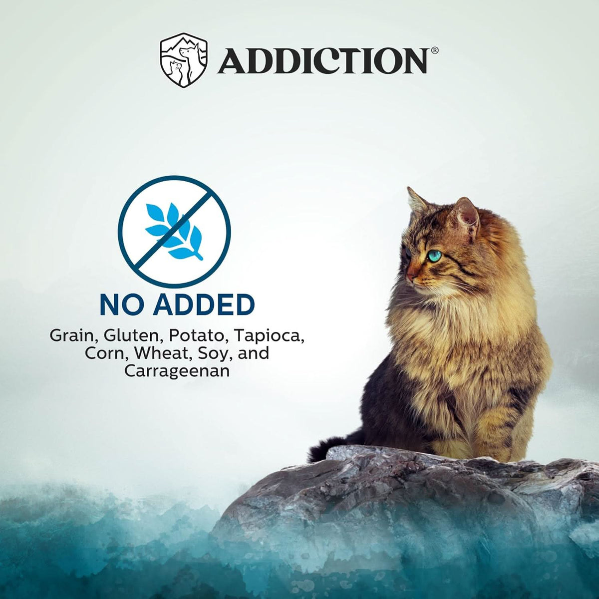 Wild Islands Pacific Catch Premium Ocean Fish & Salmon Grain-Free Canned Cat Food - Addiction Pet Foods USA