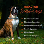 Wild Kangaroo & Apples Recipe Dry Dog Food - Addiction Pet Foods USA
