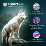 Wild Kangaroo & Apples Recipe Dry Dog Food - Trial Pack Bundle of 12 - Addiction Pet Foods USA