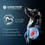 Wild Kangaroo & Apples Recipe Dry Dog Food - Trial Pack Bundle of 12 - Addiction Pet Foods USA