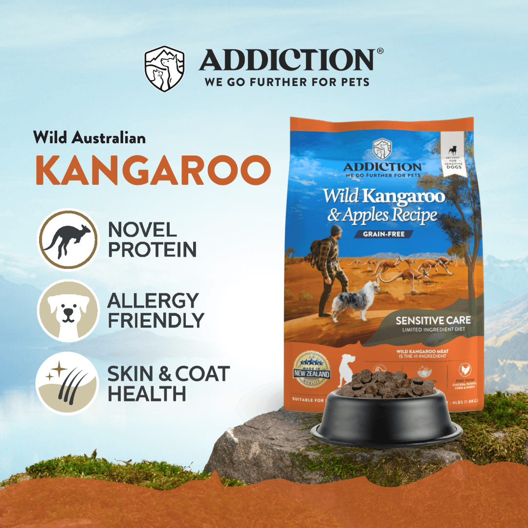 Wild Kangaroo & Apples Recipe Dry Dog Food - Trial Pack Bundle of 12 - Addiction Pet Foods USA